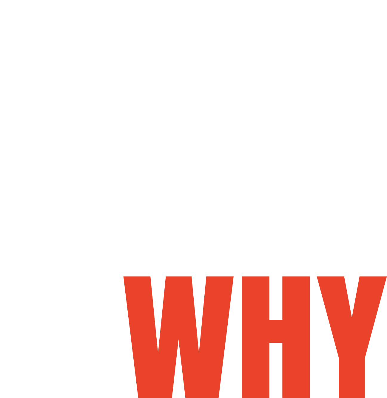WhoWhatWhy